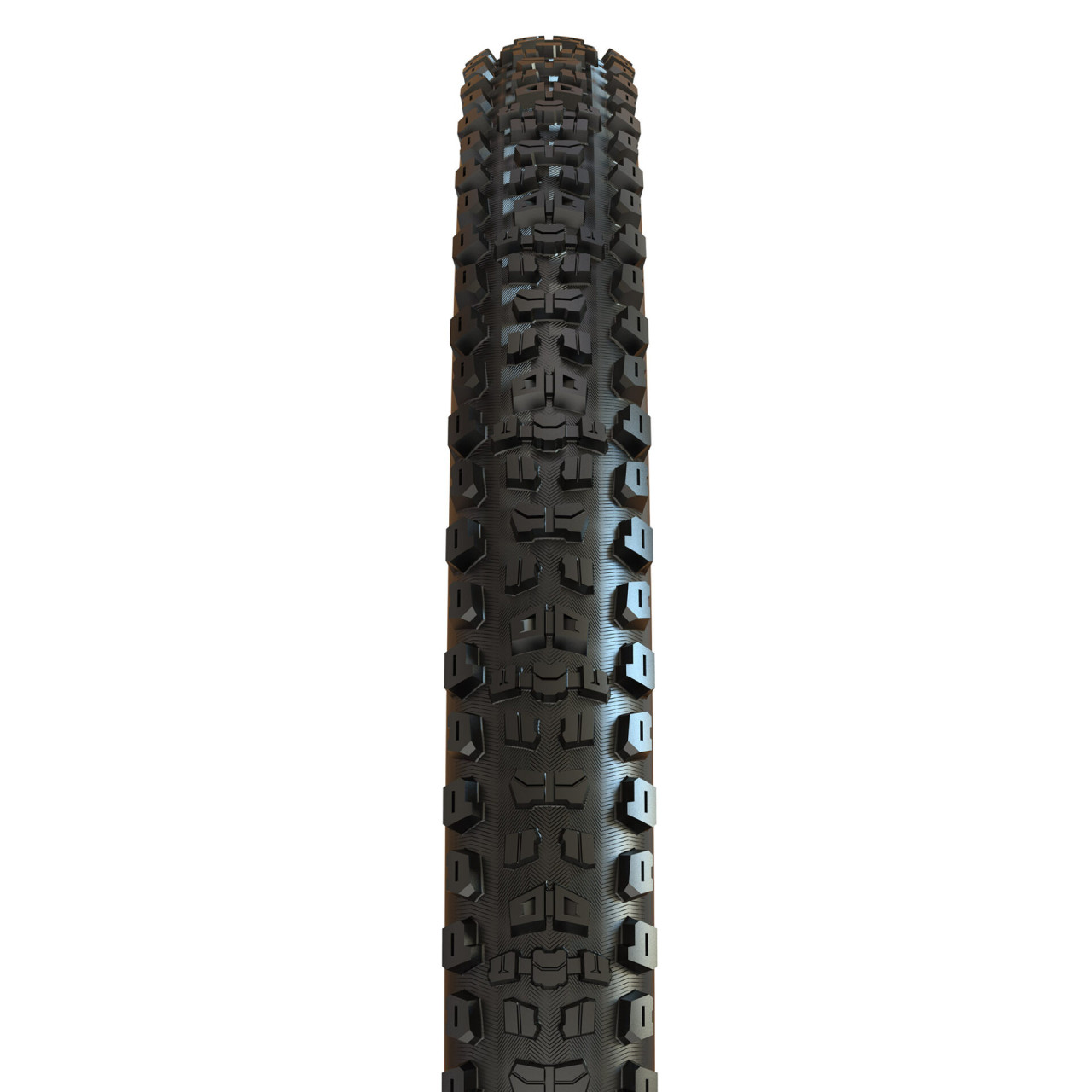 Aggressor_2_6960fefc7b1b2
