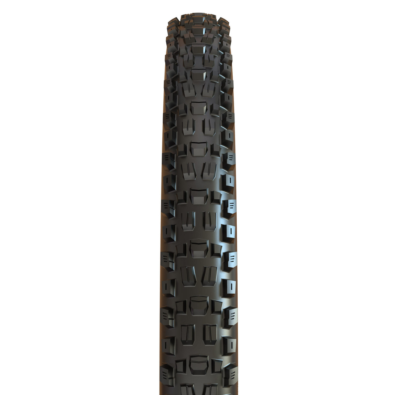 Assegai_2_6964c36d78d17