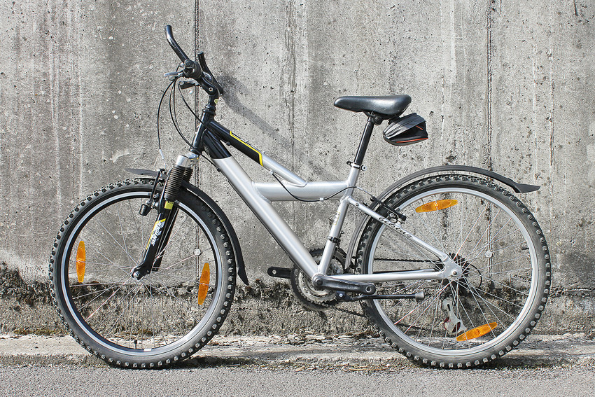 sada-blatniku-sks-velo-55-junior-24_1_o