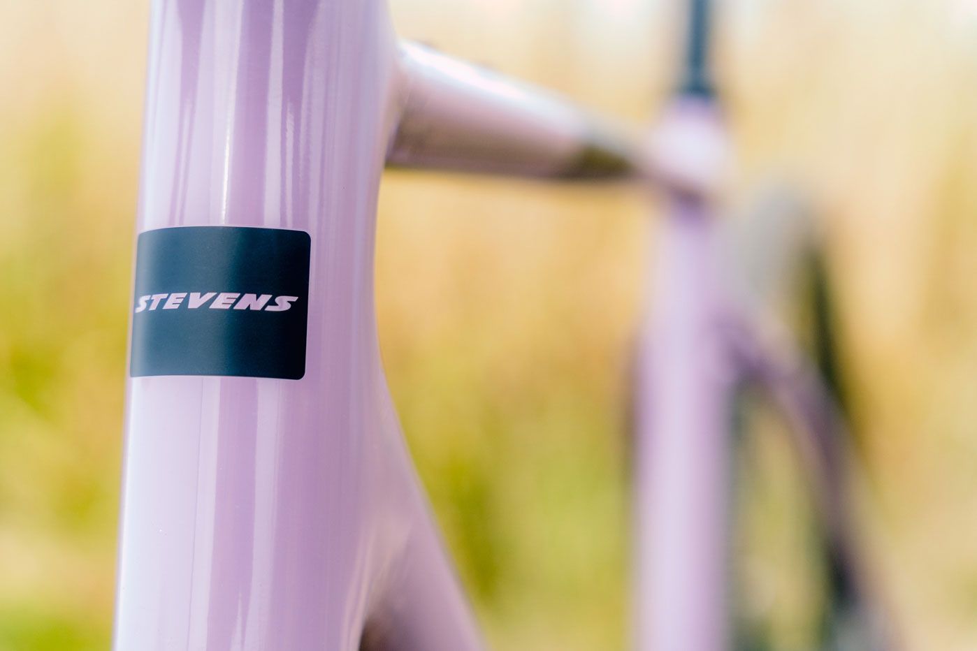 stevens-gavere-com-dusty-violet_4_o